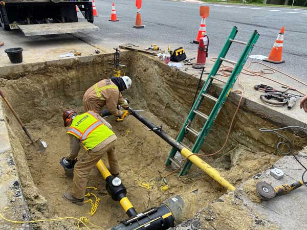SHARES Check Presentation