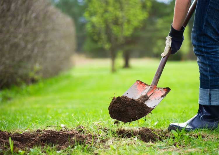 Person digging with a shovel