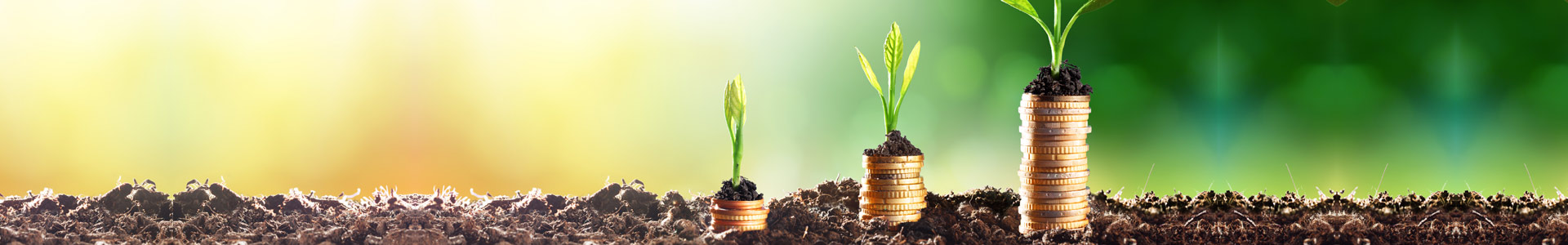 south jersey gas - save energy & money