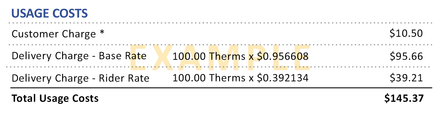 Usage Costs