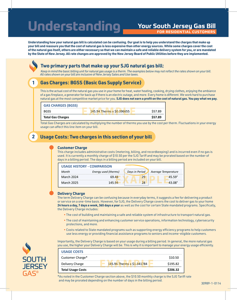 screenshot of a 2025 bill insert