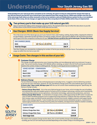 screenshot of a 2025 bill insert