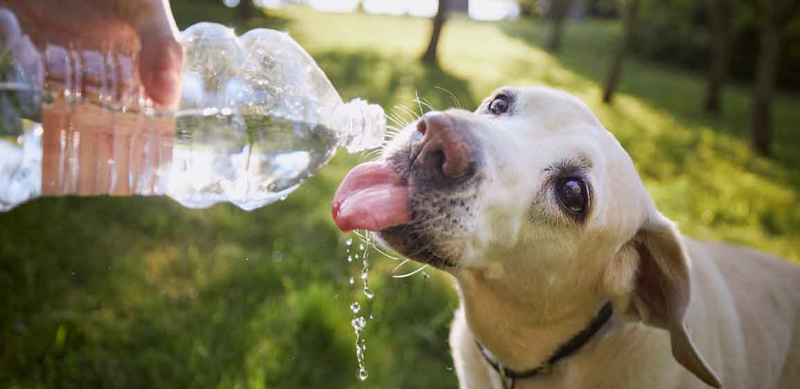 10 Ways to Beat Extreme Heat This August