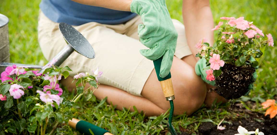 Smart Tips for an Energy-Efficient Garden