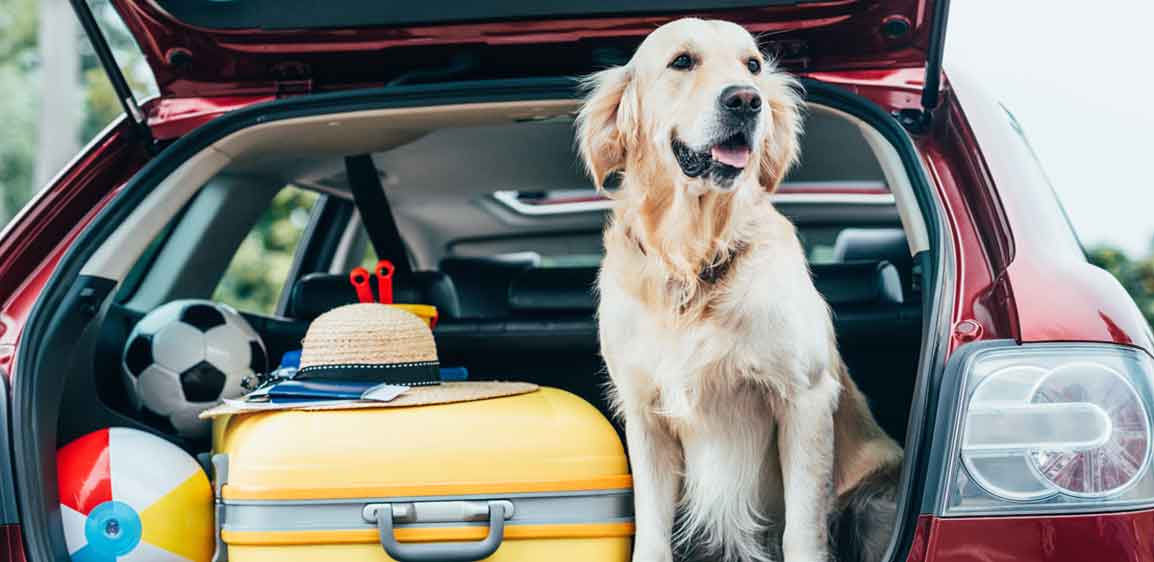 How to Save Energy All Summer Long 