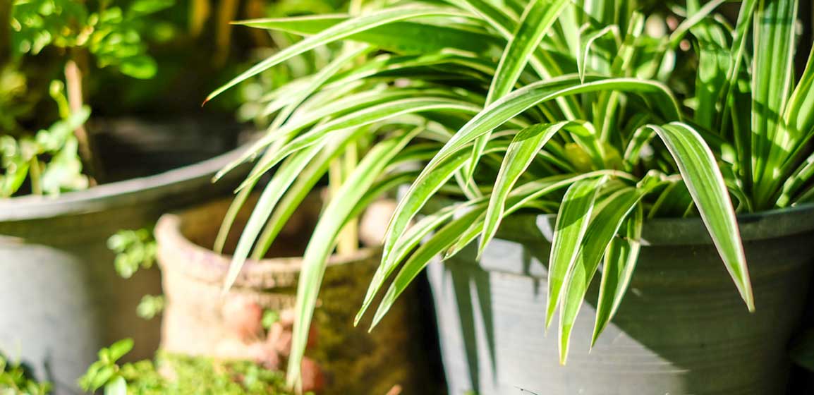 Five Out-of-the-Box Ways to Save Energy This Summer